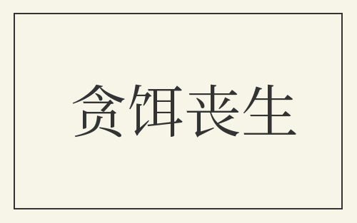 贪饵丧生