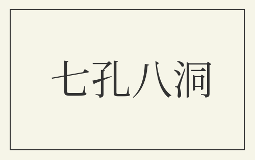 七孔八洞