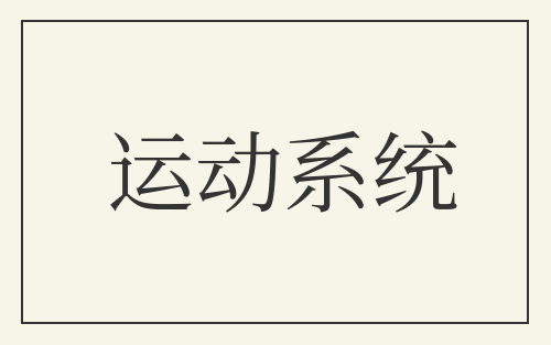 运动系统