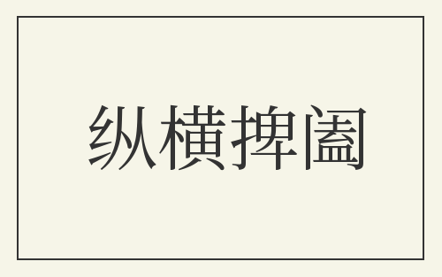 纵横捭阖