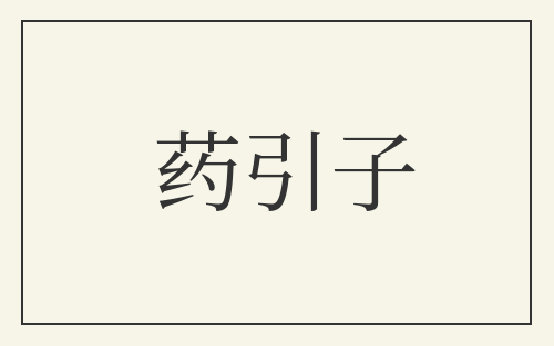 药引子