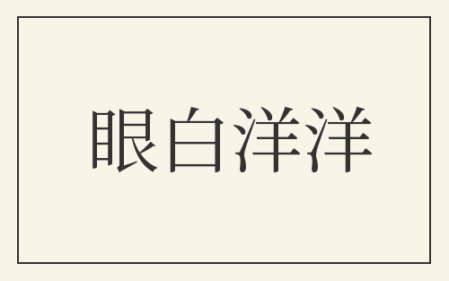 眼白洋洋