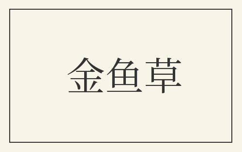 金鱼草