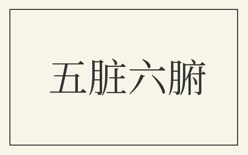 五脏六腑