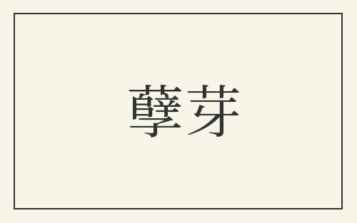 孽芽