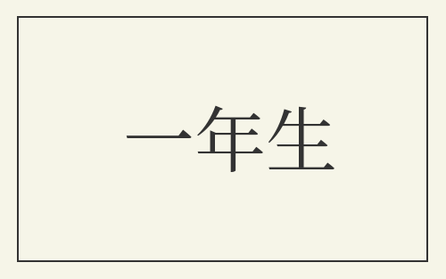 一年生