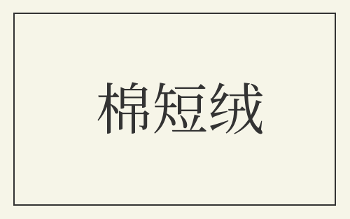 棉短绒