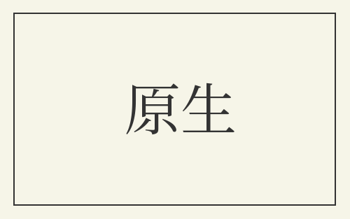 原生