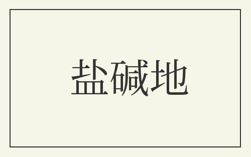 盐碱地
