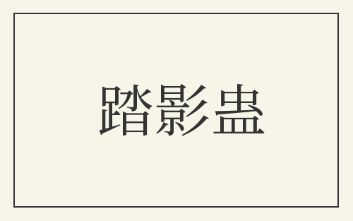 踏影蛊