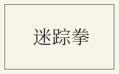 迷踪拳