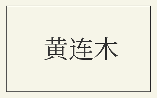 黄连木