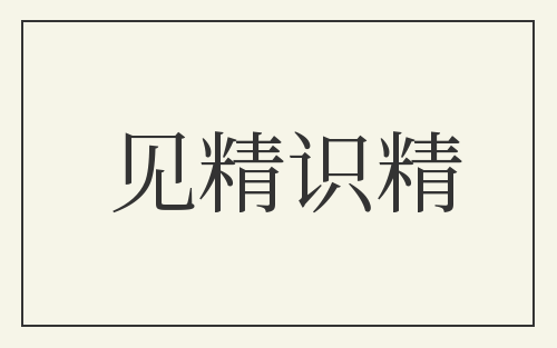 见精识精