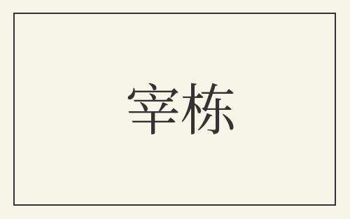 宰栋