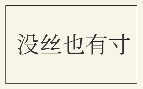 没丝也有寸
