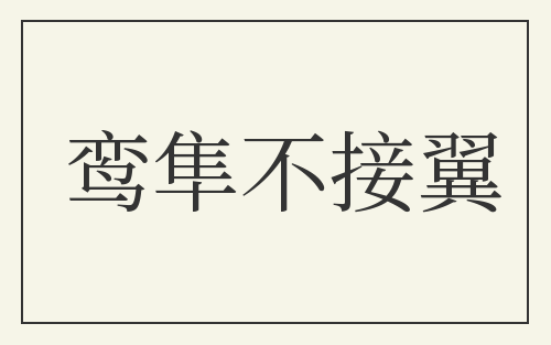 鸾隼不接翼