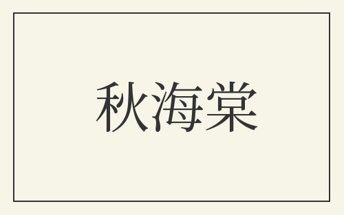秋海棠