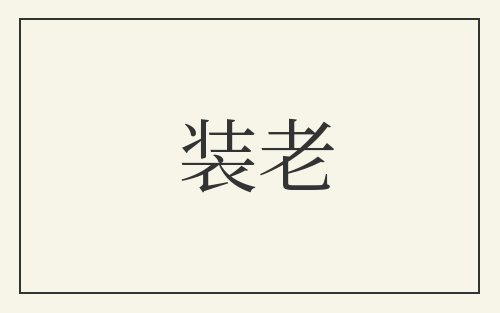 装老