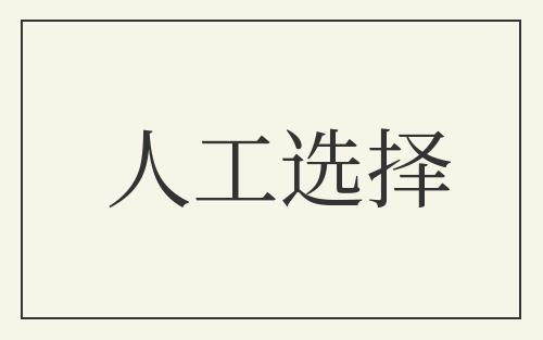 人工选择