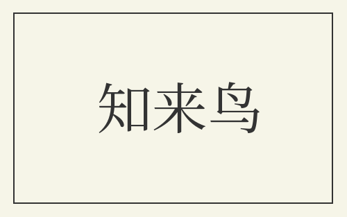 知来鸟