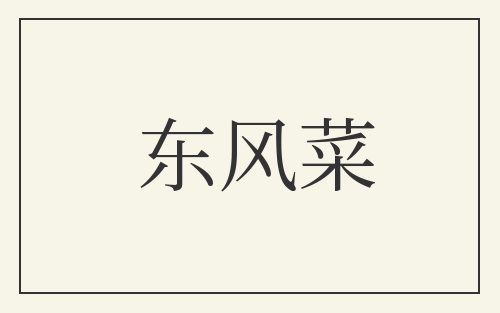东风菜