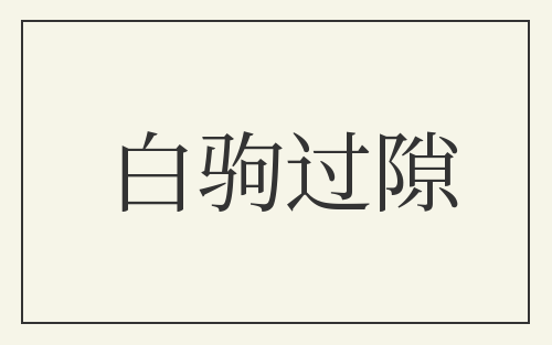 白驹过隙