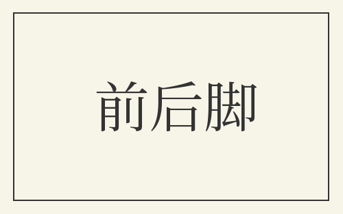 前后脚