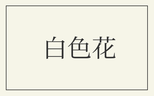白色花