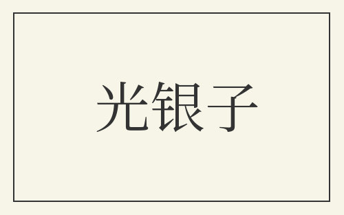 光银子