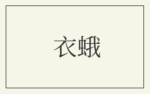 衣蛾