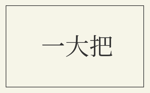 一大把