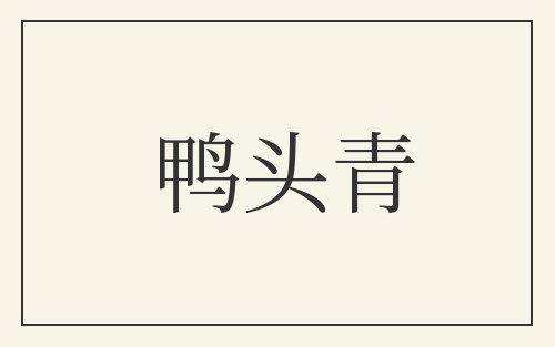 鸭头青