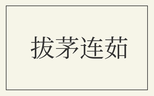 拔茅连茹