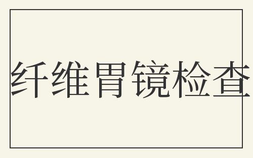 纤维胃镜检查