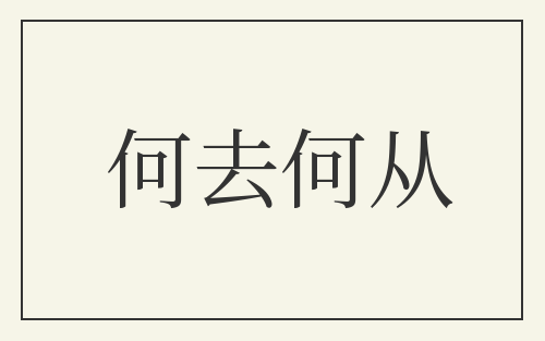 何去何从