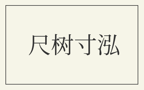 尺树寸泓
