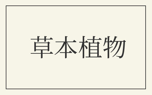 草本植物
