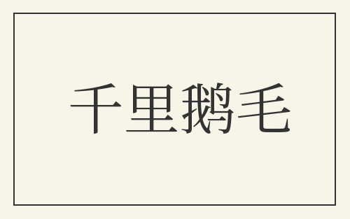 千里鹅毛