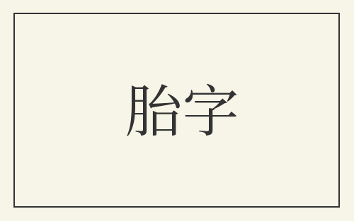 胎字