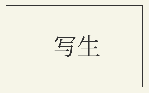 写生