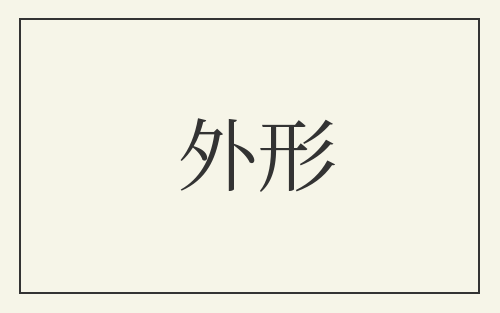 外形