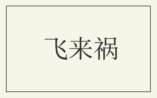 飞来祸