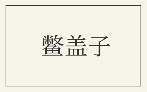 鳖盖子