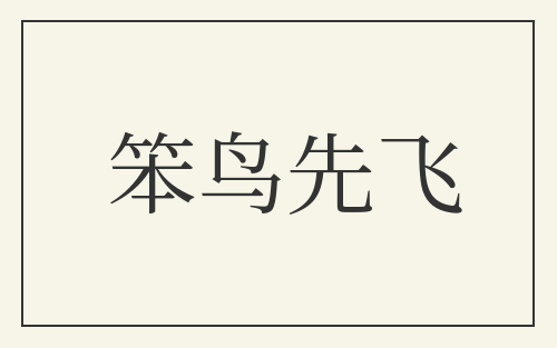 笨鸟先飞