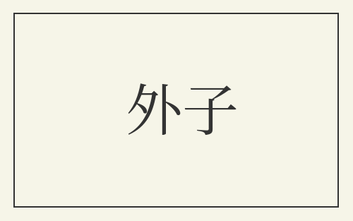 外子
