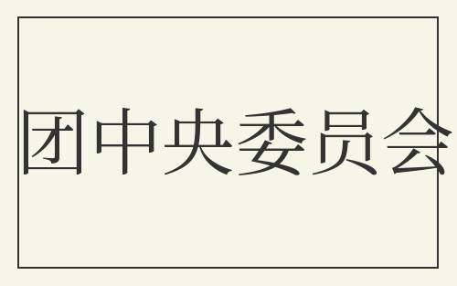 团中央委员会