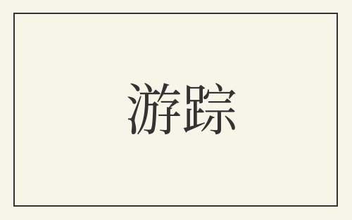 游踪