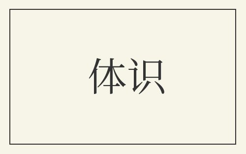 体识