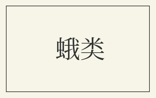 蛾类