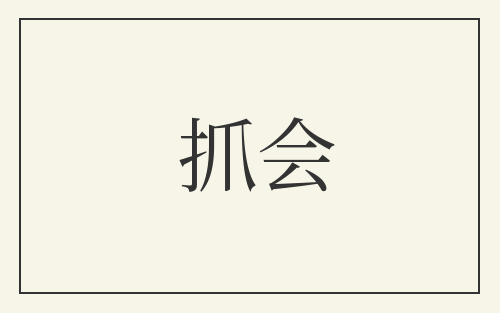 抓会